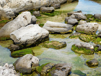 High angle view of mossy rocks at beach