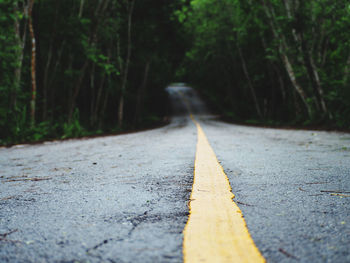 Surface level of empty road in forest