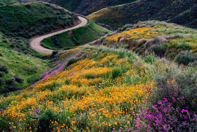 Scenic view of mountains during autumn