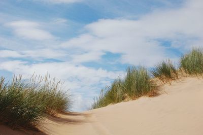 Scenic view of sand dunes at beach against sky