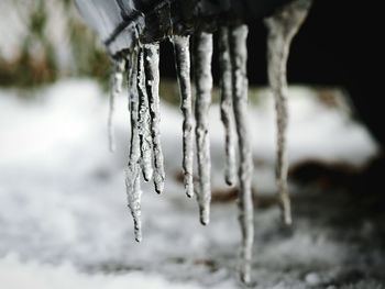 Close-up of ice crystals