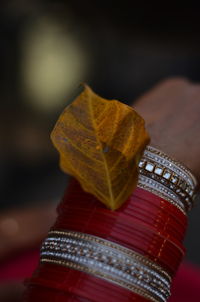 Close-up of plant against blurred background