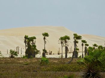 Scenic view of desert against clear sky