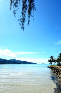 Scenic view of sea against blue sky