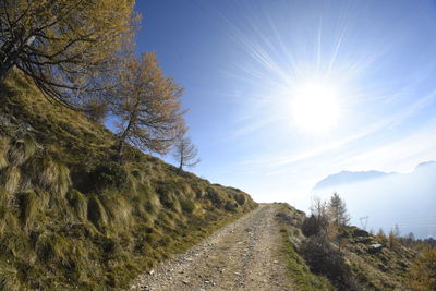 Road amidst trees against sky