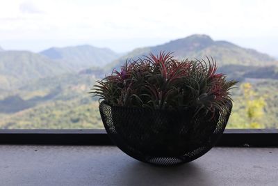 mountain