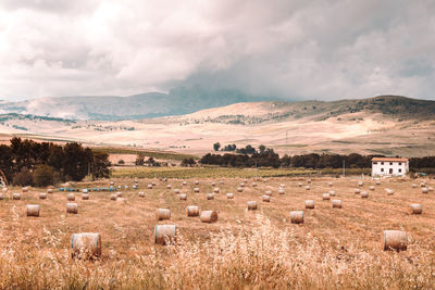 A rural scene of a farm in sicily, italy.