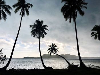 Silhouette palm trees on beach against sky