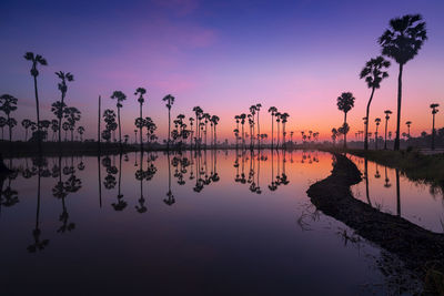 Silhouette plants by lake against sky during sunset