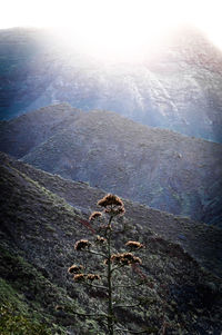 Sun shining through clouds over mountain