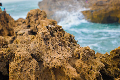 Close-up of rock formation at beach