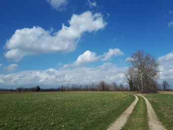 Scenic view of field against sky