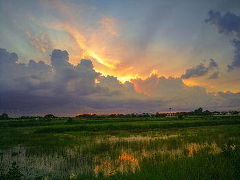 Scenic view of field against sky during sunset