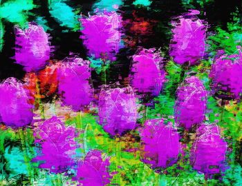 Close-up of pink flowers