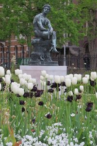 White statue in park