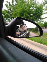 Reflection of woman on side-view mirror of car