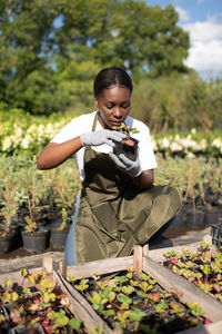 African american gardener examining seedling