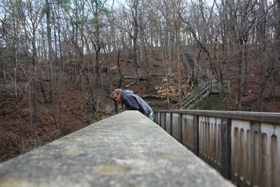 Rear view of man skateboarding on tree