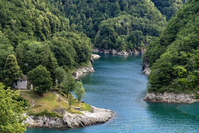 Scenic view of river amidst trees in forest