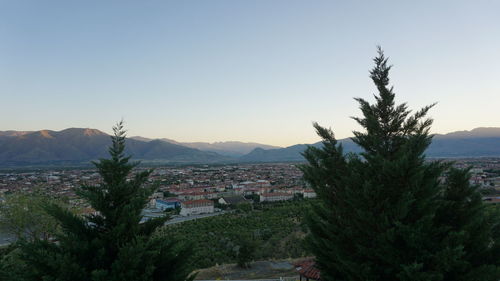 High angle view of trees in town against clear sky