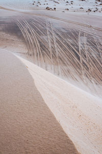 Scenic view of desert 