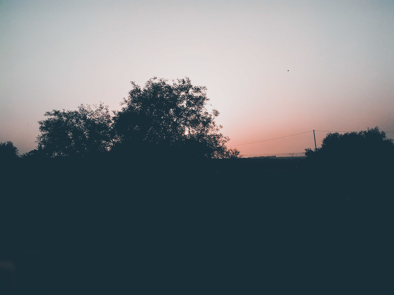 SILHOUETTE TREE AGAINST SKY DURING SUNSET