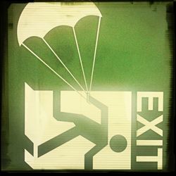 Close-up of green leaf