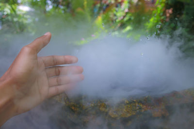 Cropped hand of woman holding plant