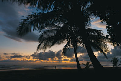 Silhouette palm trees against sky during sunset