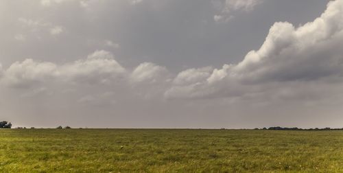 Scenic view of agricultural field against sky