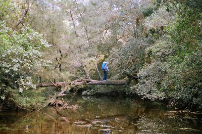 Full length of woman standing on tree trunk