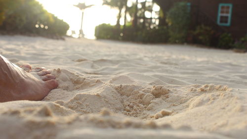 Cropped image of man on beach