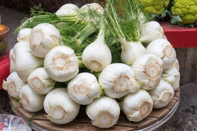 Bunch of fennels at a farmers' market