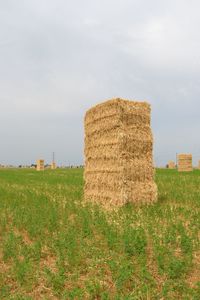 Hay bales on field against sky