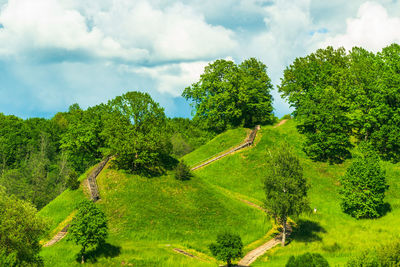 Panoramic shot of trees on landscape against sky