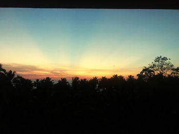 Silhouette trees against sky during sunset