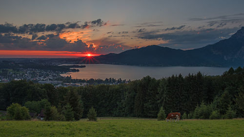 Scenic view of field against sky during sunset