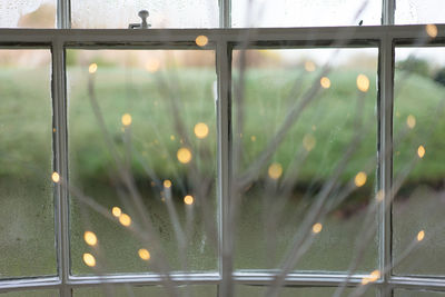 Close-up of wet glass window