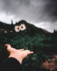 Cropped hand throwing flowers against cloudy sky
