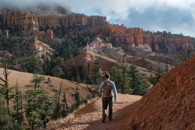 Rear view of man hiking on mountain