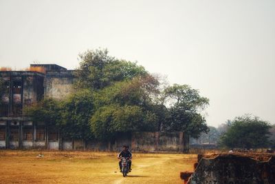 Rear view of woman standing by trees against clear sky