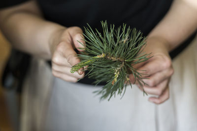 Close-up of hand holding plant