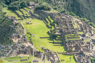 High angle view of green landscape