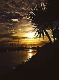 Silhouette palm trees on beach against sky during sunset