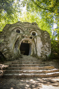 Low angle view of statue in forest