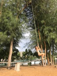 Man holding swing hanging on tree