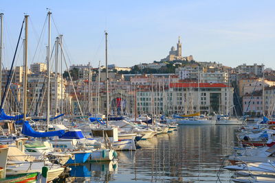 Sailboats moored in harbor