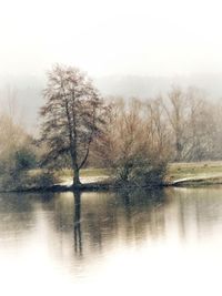 Bare trees by lake against sky