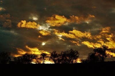 Low angle view of silhouette trees against dramatic sky