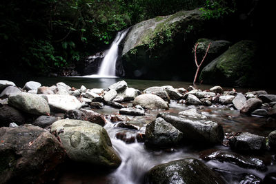 Scenic view of waterfall in forest